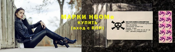apvp Алексин